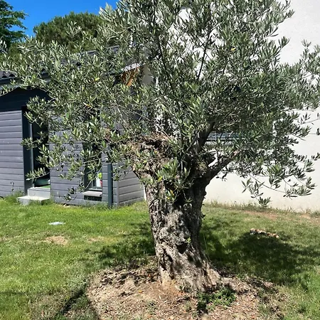 Villa Grande Avec Piscine Et *